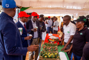 Extension Officer Kakuzi, Laban Mwaura (far right), Kakuzi Grading Supervisor, Ann Wanjiru Mwangi (right), from far left Principal secretary state department Crops Development, Kello Harsama, Murang'a County Deputy Governor, H.E Stephen Munania (middle) and Member of Parliament, Chege Njuguna (left) at the Murang'a County Avocado Farmers Expo held at Matenjagwo Stadium in Kandara Constituency.