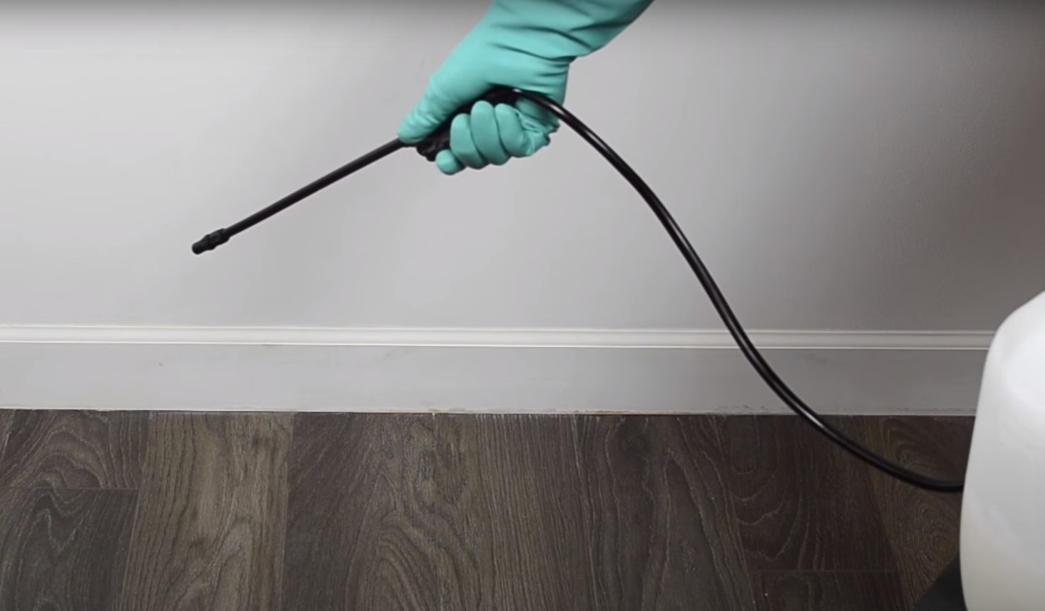 How to Get Rid of Bedbugs from Your Space