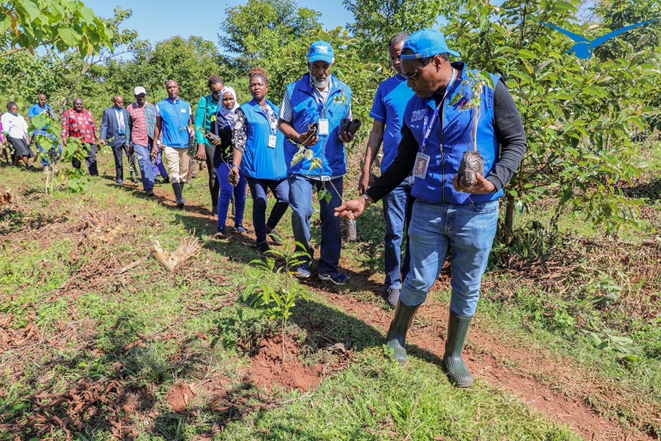 748 Air services MD Moses Mwangi leading his team in tree planting exercise