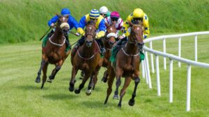 Horse Racing Betting