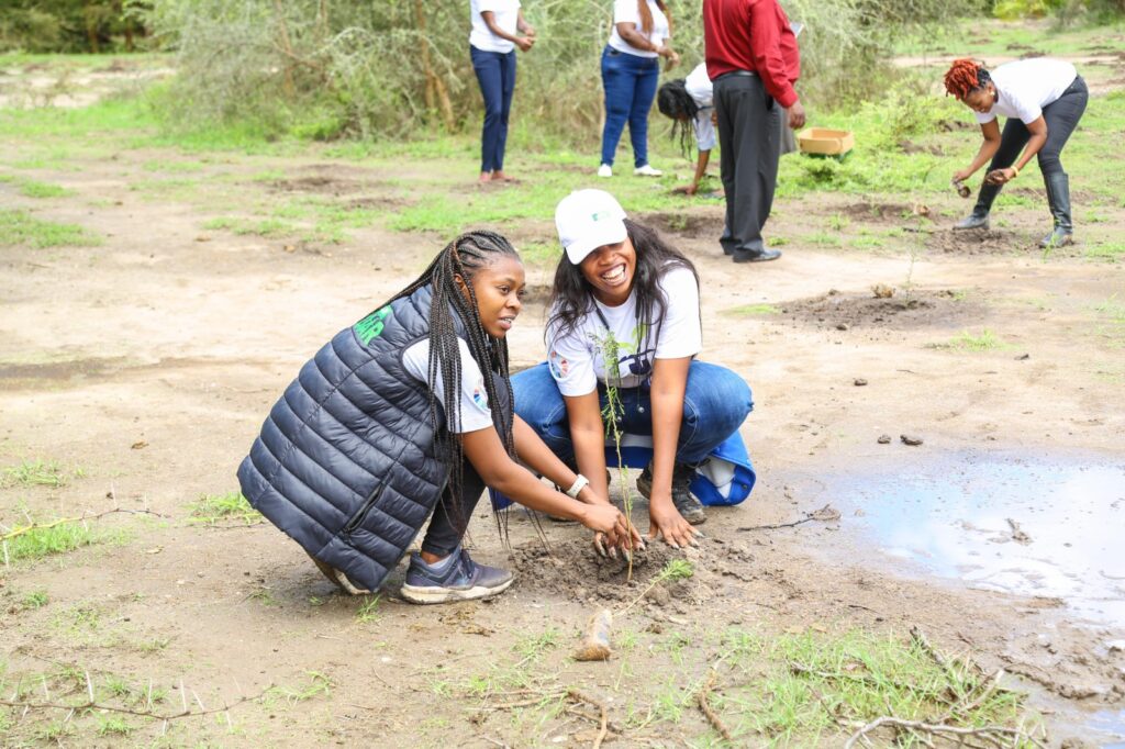 KCB Group Sustainability Manager, Charlotte Obado and KCB Sustainability Administrator, Amiss Kadzo, take part in the National Tree planting exercise at Nziu Wetlands in Makindu, Makueni County.