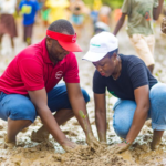 Absa, Safaricom Partner In Mangrove Reforestation Initiative