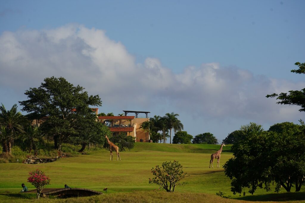 Vipingo Ridge