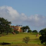 Vipingo Ridge Named Africa’s Best Golf Real Estate Venue 2025
