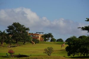 Vipingo Ridge