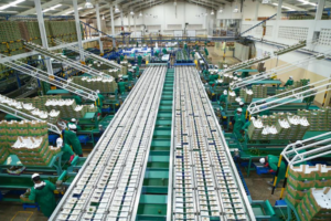 Kakuzi PLC